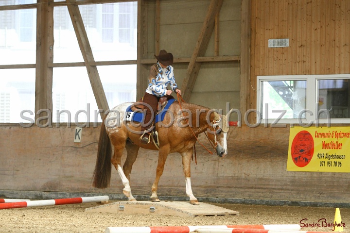 26-ApHC GT_201.jpg